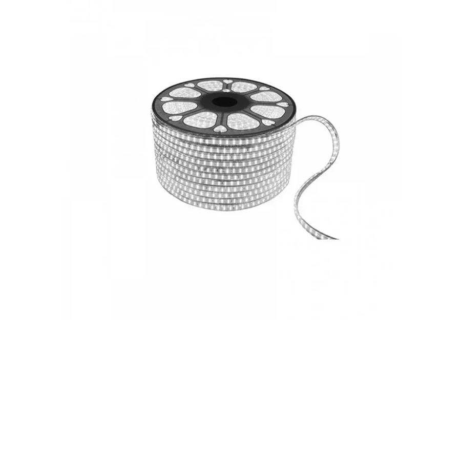 Strisce LED 220V