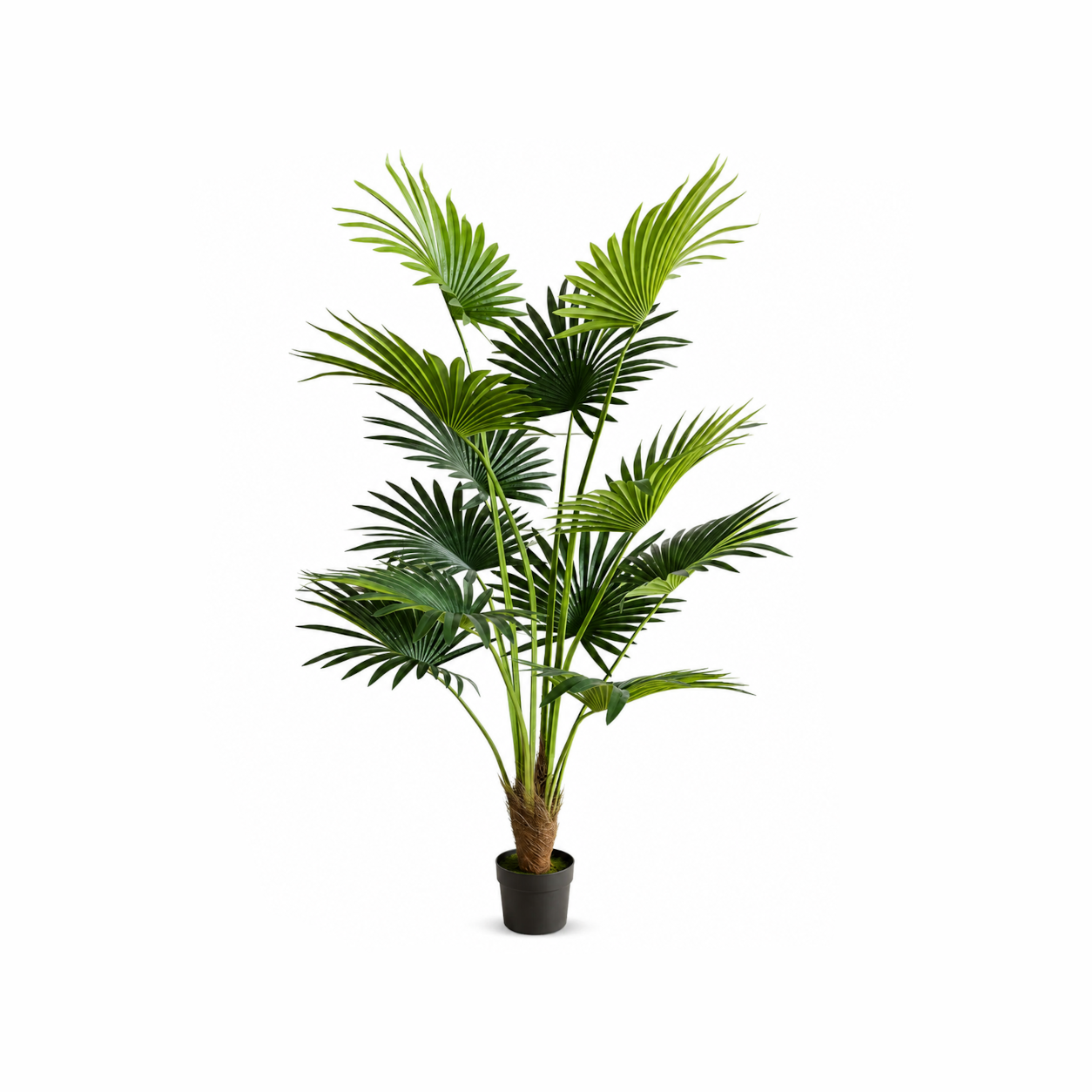 Piante artificiali