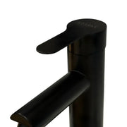 Rubinetto per lavabo, acciaio inossidabile SUS304, nero, HS/LY006 Rubinetti per bagno Titolo predefinito Alessandro Design