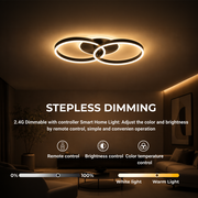 Lampadario LED con telecomando RIGA LILITH 34W, 2 Cerchi, Luce Fredda/Calda/Neutra, Dimmerabile, Nero Lampadari LED con Telecomando Titolo predefinito Alessandro Design