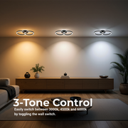 Lampadario LED con telecomando RIGA LILITH 34W, 2 Cerchi, Luce Fredda/Calda/Neutra, Dimmerabile, Nero Lampadari LED con Telecomando Titolo predefinito Alessandro Design