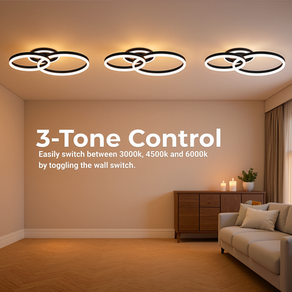 Lampadario LED con telecomando RINOVA 66W, 2 Cerchi, Luce Fredda/Calda/Neutra, Dimmerabile, Nero Lampadari LED con Telecomando Titolo predefinito Alessandro Design
