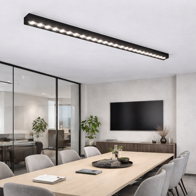 Proiettore LED LED RGB Exterior 24W Silver