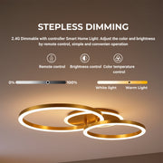 Lampadario LED con Telecomando RINOVA 66W, 2 Cerchi, Luce Fredda/Calda/Neutra, Dimmerabile, Lampadari LED Oro Lucido con Telecomando Titolo predefinito Alessandro Design
