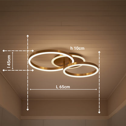 Lampadario LED con Telecomando RINOVA 66W, 2 Cerchi, Luce Fredda/Calda/Neutra, Dimmerabile, Lampadari LED Oro Lucido con Telecomando Titolo predefinito Alessandro Design