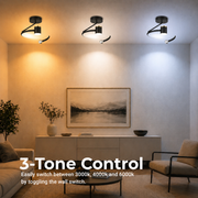Lampadario LED, 34W, Diametro 24cm, Luce Fredda/Calda/Neutra, Nero