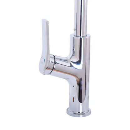 Baterie Bucatarie cu Dus Extractabil, Inox SUS304, Crom, FJ5543 Baterii de Bucatarie Default Title Alessandro Design
