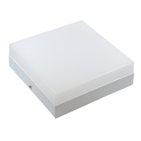 Plafoniera LED PL200/12P 19W Luce Fredda 6000k Plafoniere LED Bianco Titolo predefinito Alessandro Design