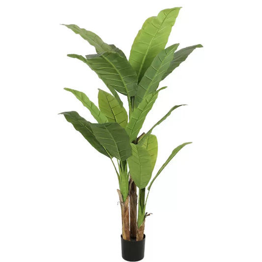 Pianta artificiale di banana giapponese, 3 rami, senza vaso 190 cm Piante artificiali verdi da interno Titolo predefinito Alessandro Design
