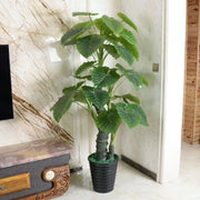 Pianta Artificiale Alocasia odora, senza vaso, 150 cm Piante Artificiali da Interno Verdi Titolo predefinito Alessandro Design