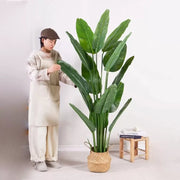 Pianta artificiale Uccello del Paradiso (Strelitzia Nicolai), 16 foglie, senza vaso, 180 cm Piante artificiali verdi da interno Titolo predefinito Alessandro Design