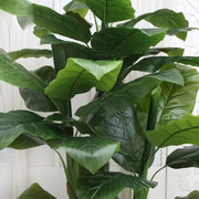 Pianta artificiale di banana giapponese, 4 rami, senza vaso, 180 cm, verde. Titolo predefinito Alessandro Design